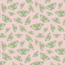Load image into Gallery viewer, Folky Minty Moth