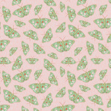 Load image into Gallery viewer, Folky Minty Moth
